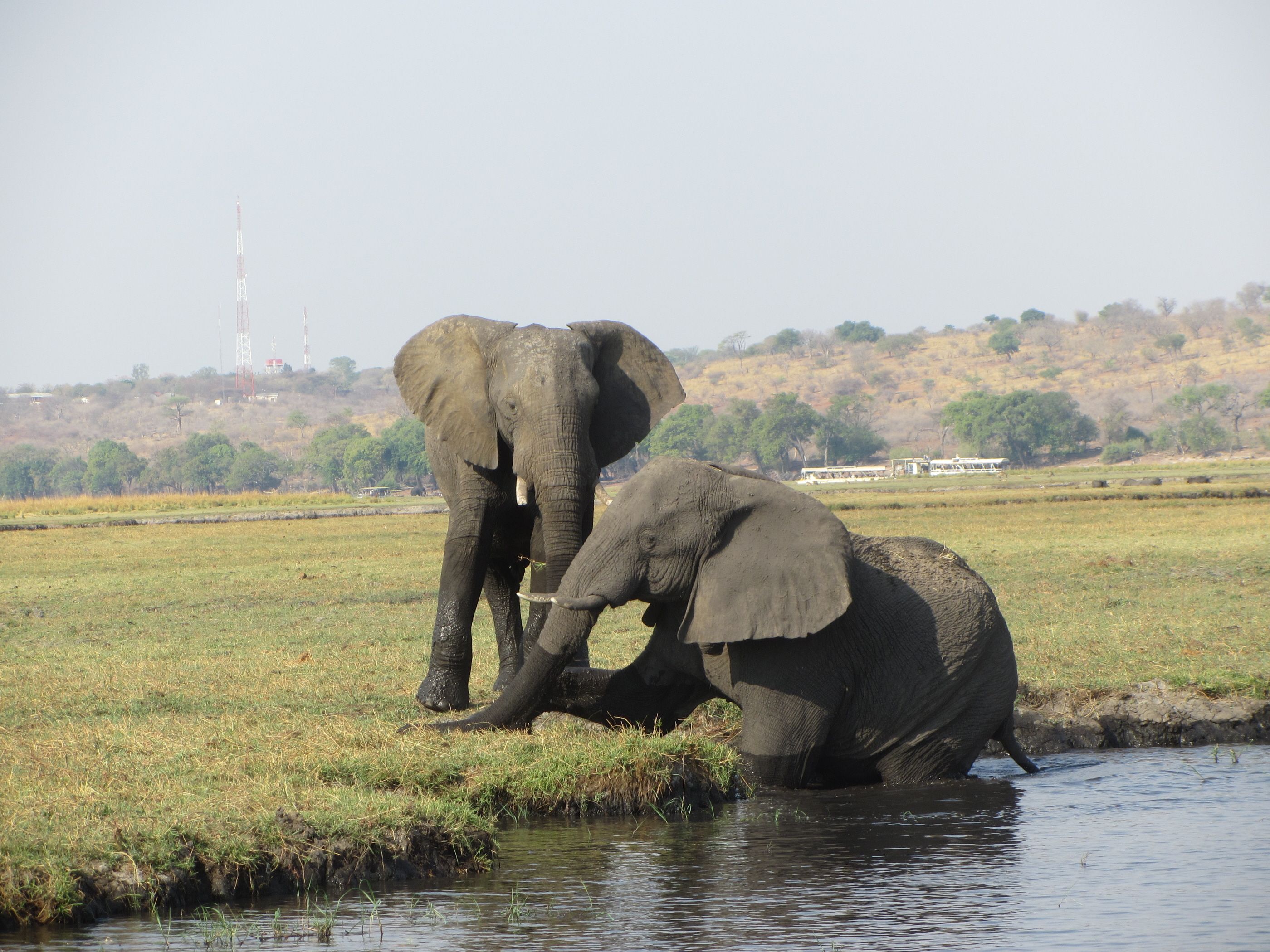 10 of the world’s best places to see elephants Wanderlust