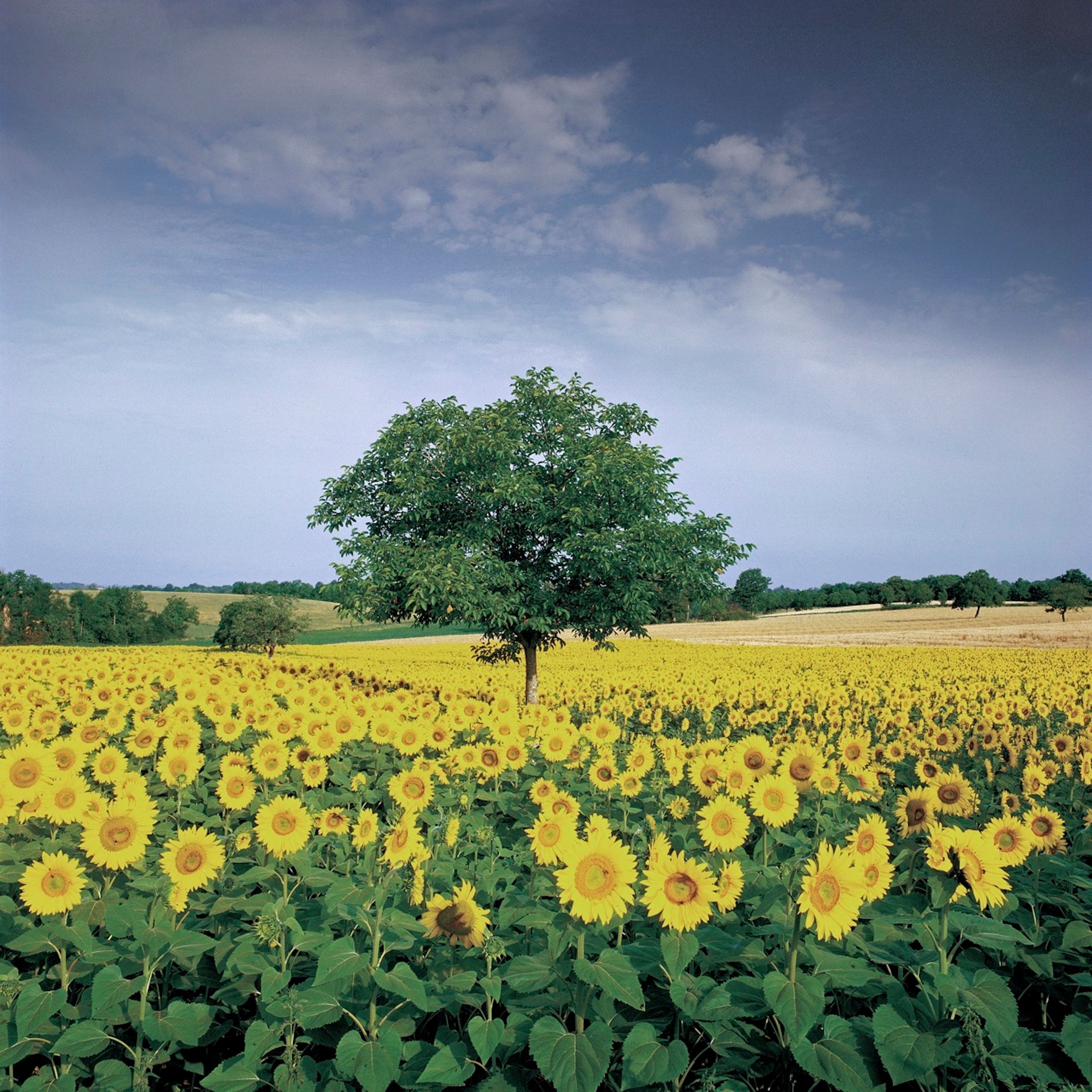 Top 8 places in the world for landscape photography, by ... Top 8 places in the world for landscape photography, by ...