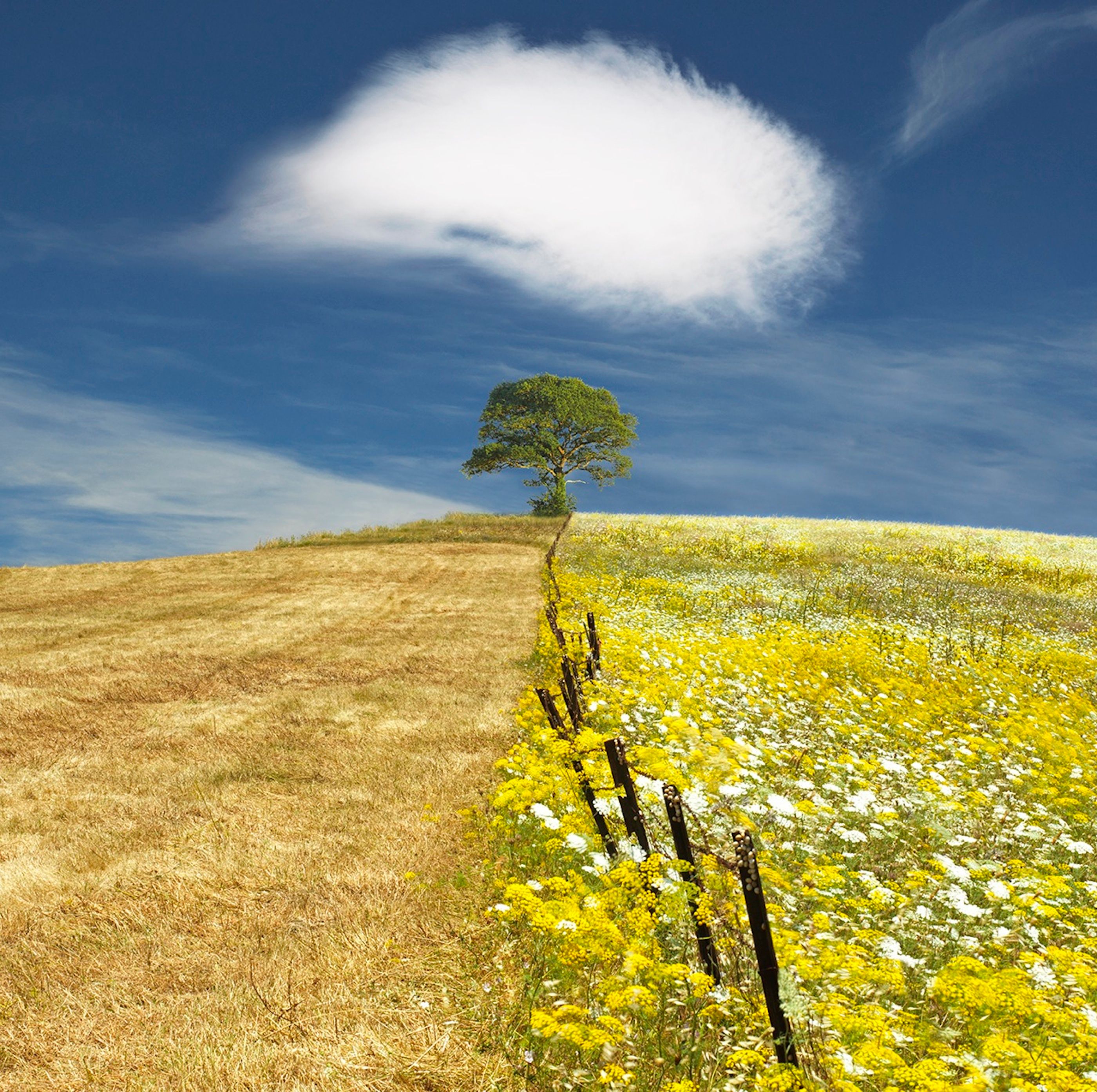 Top 8 places in the world for landscape photography, by ... Top 8 places in the world for landscape photography, by ...