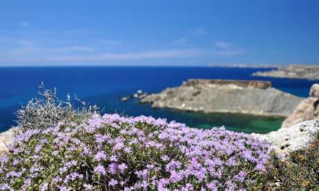 The rocks overlooking Gnejna Bay, Malta (bazylek100)