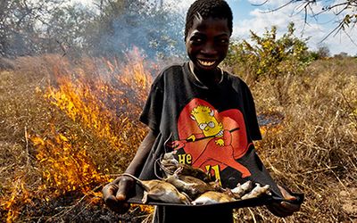 mozambique travel guide tips