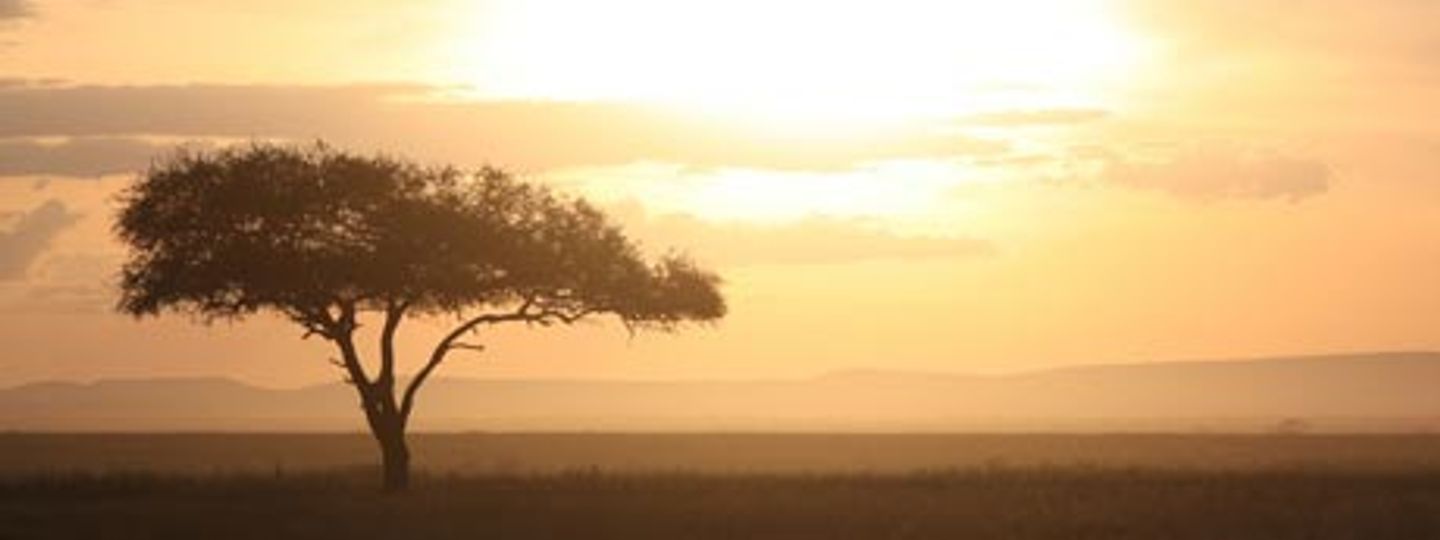 African Safari Travel Insurance African Safari Travel Insurance