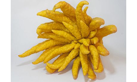 9 Strange Fruits From Around The World Wanderlust