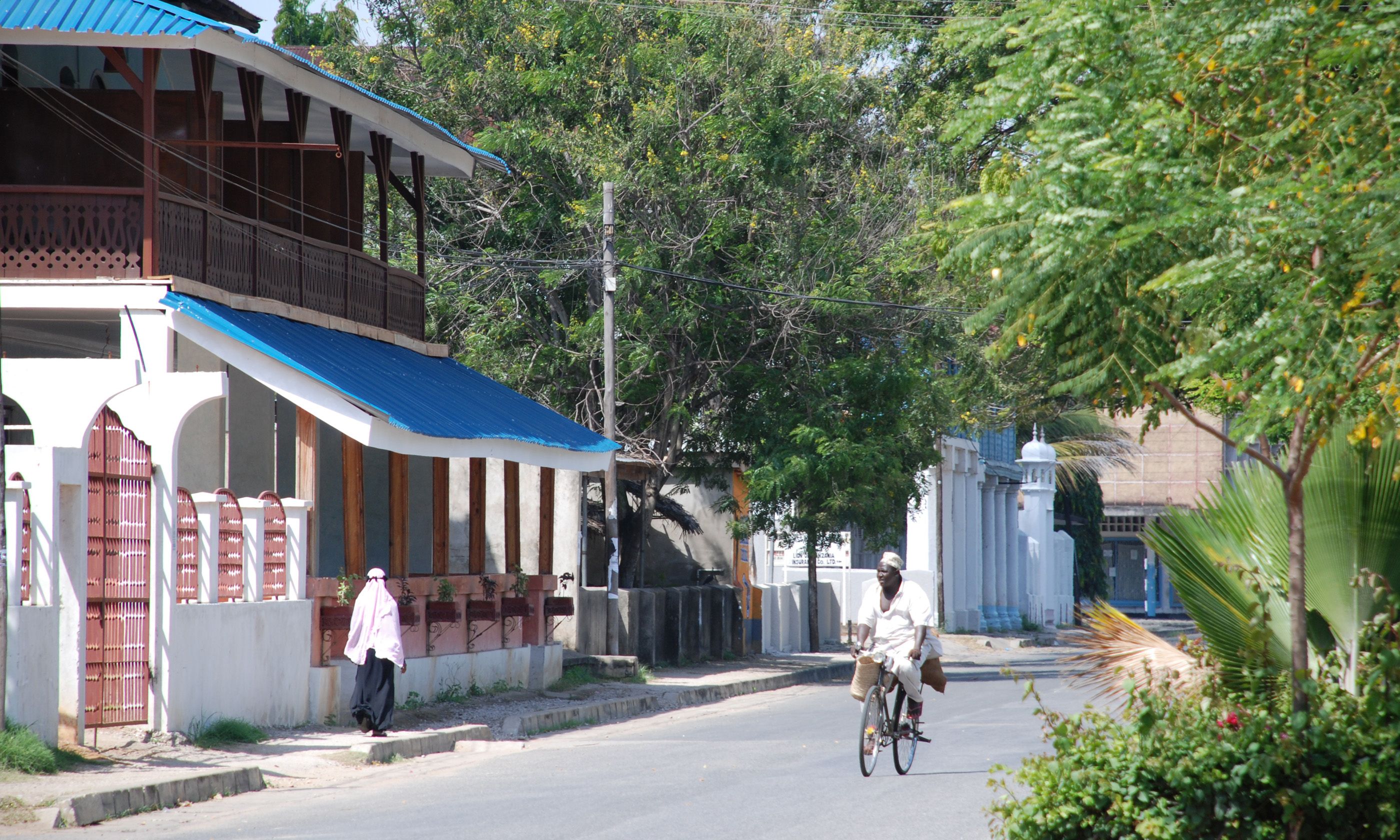 Resultado de imagem para TANGA TANZANIA