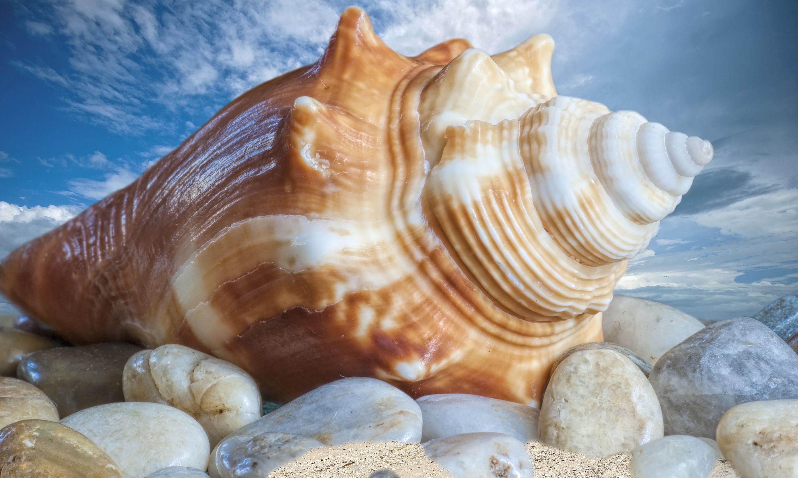 The world's 7 best beaches for finding shells Wanderlust