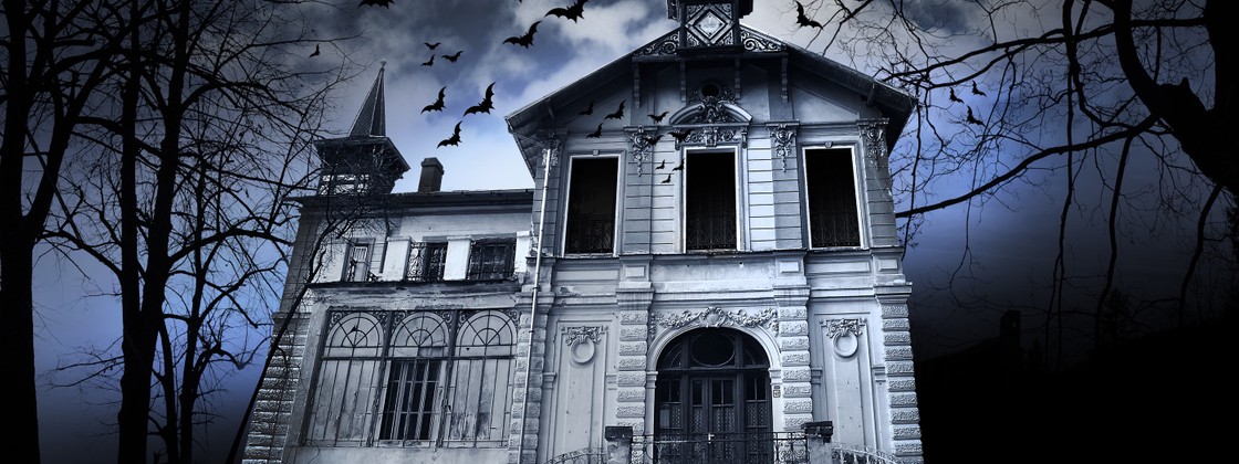 Resultat d'imatges de haunted house