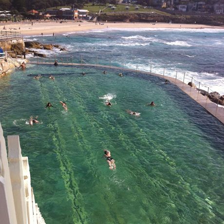 Sydney's best ocean and harbour swimming pools Wanderlust