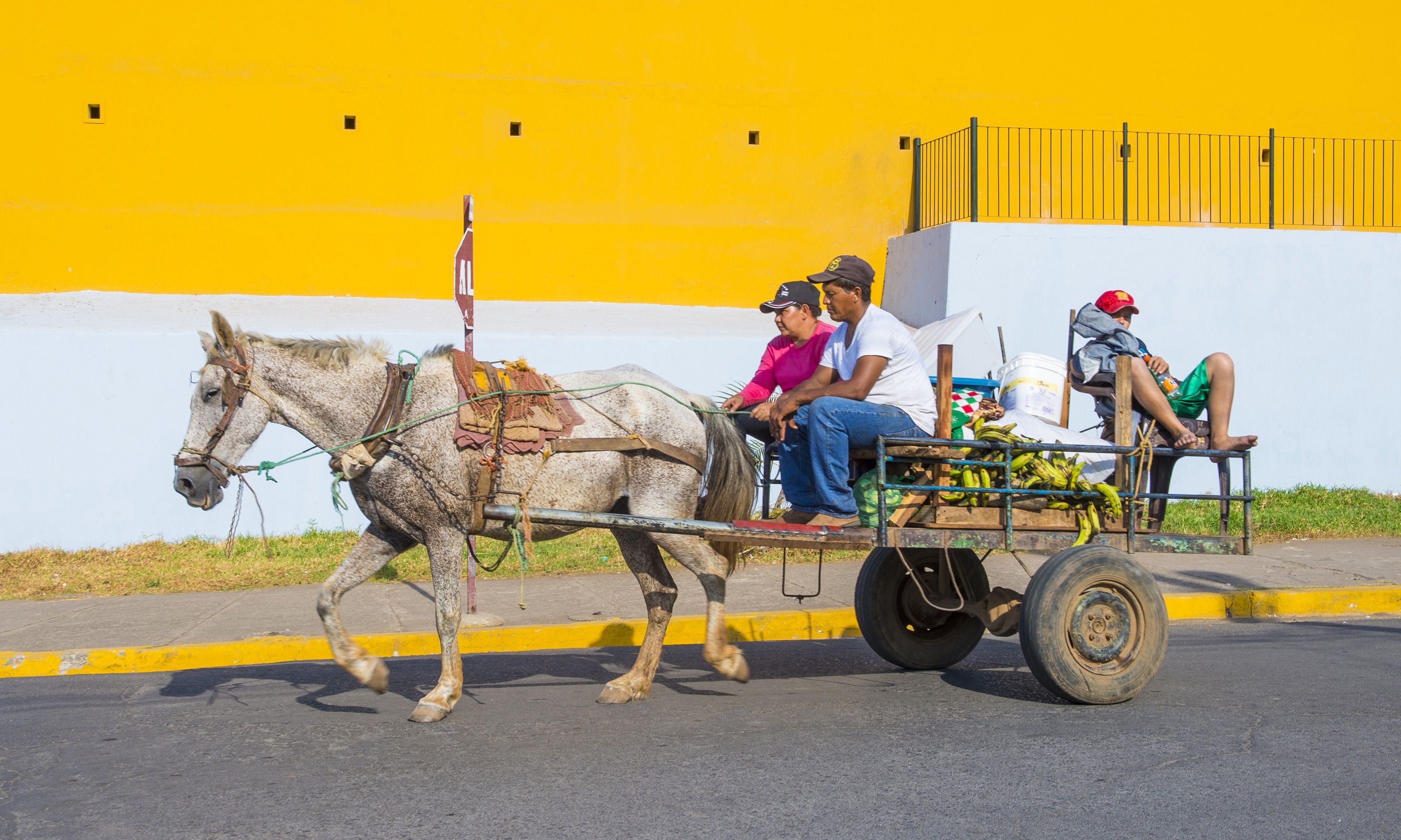 Horse-drawn wagon in Granada (Dreamstime)