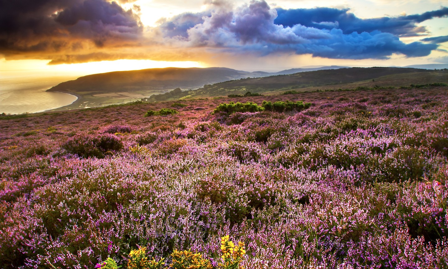 The Great British Trivia Quiz Wanderlust the-great-british-trivia-quiz-wanderlust