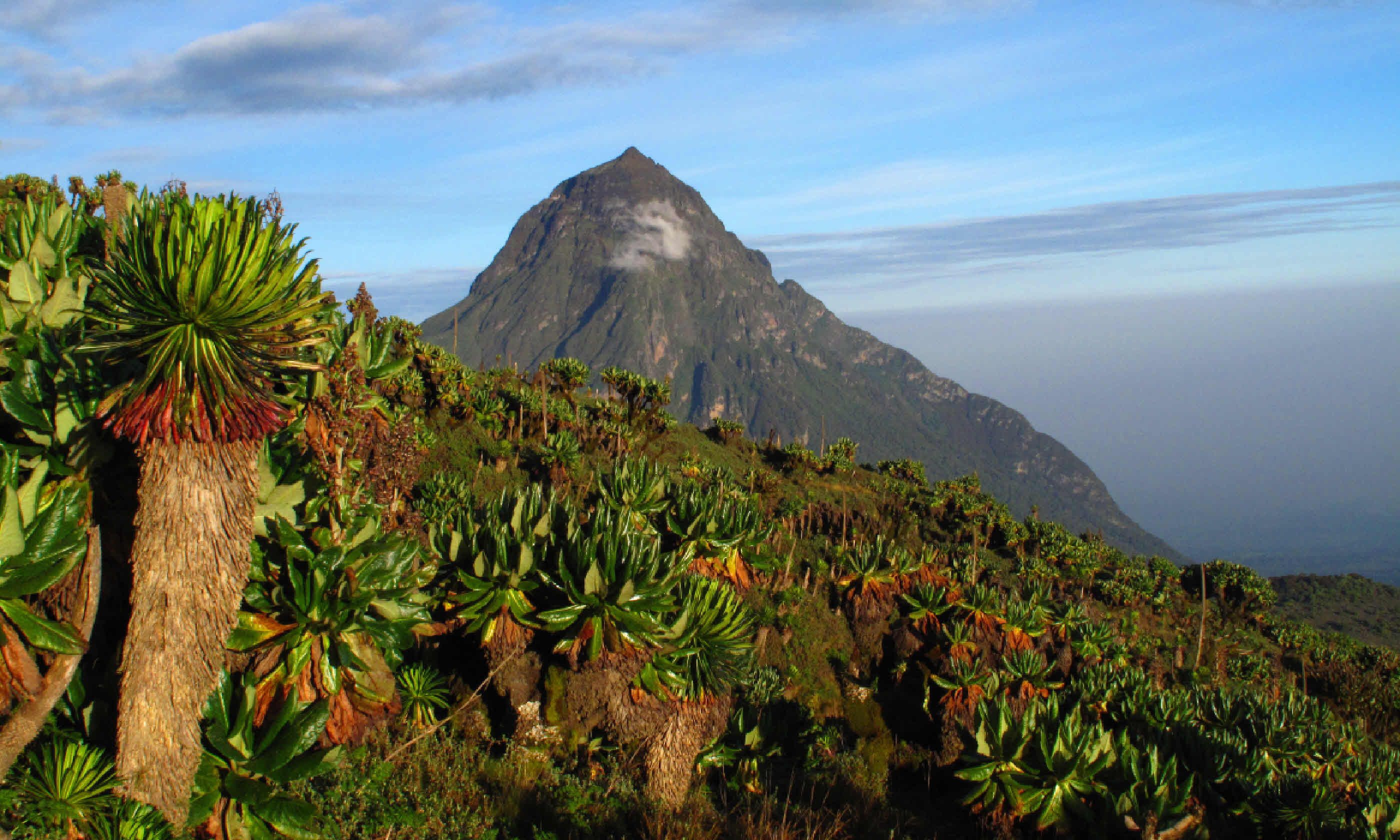 Mikeno volcano – DR Congo (Shutterstock)