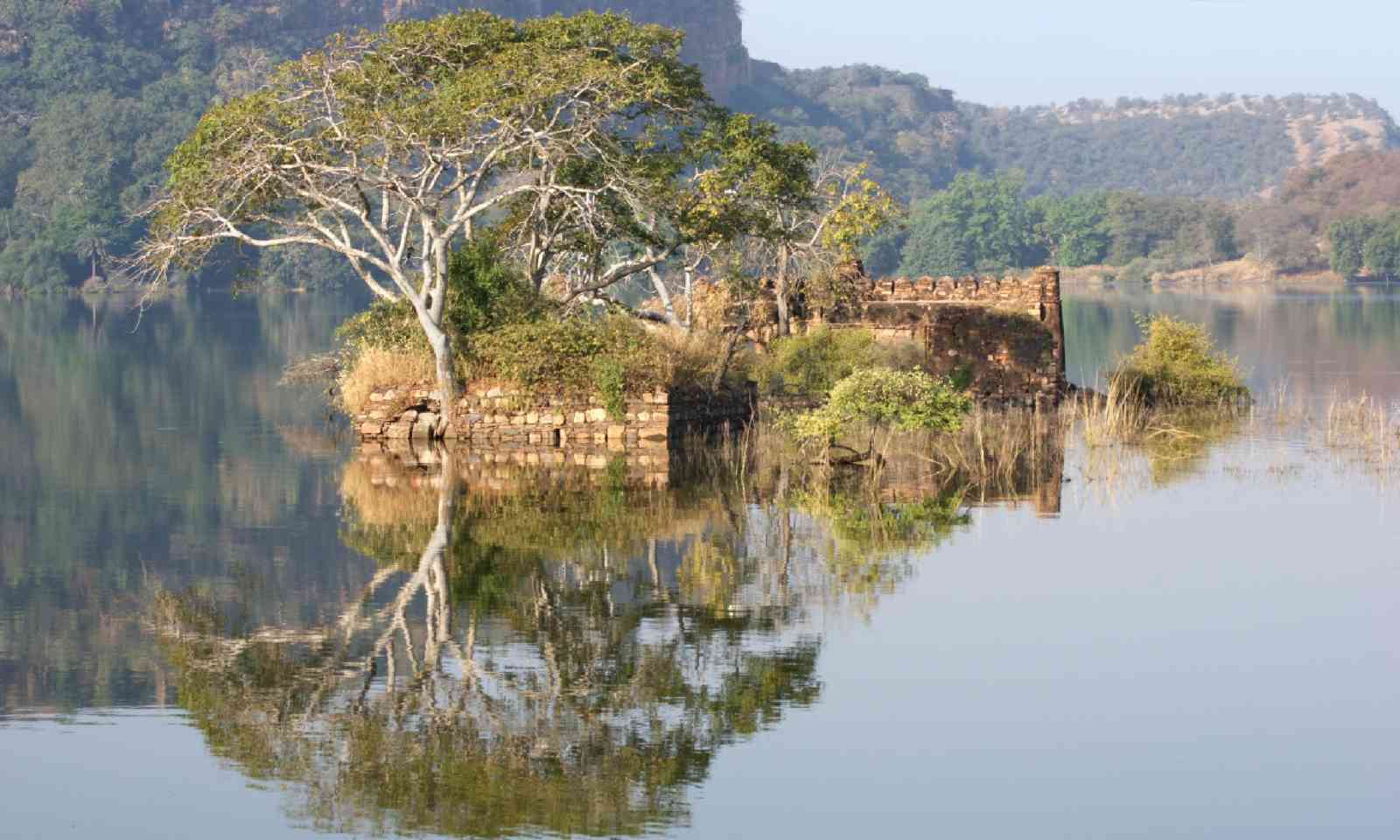 Ranthambore National Park (Shutterstock)