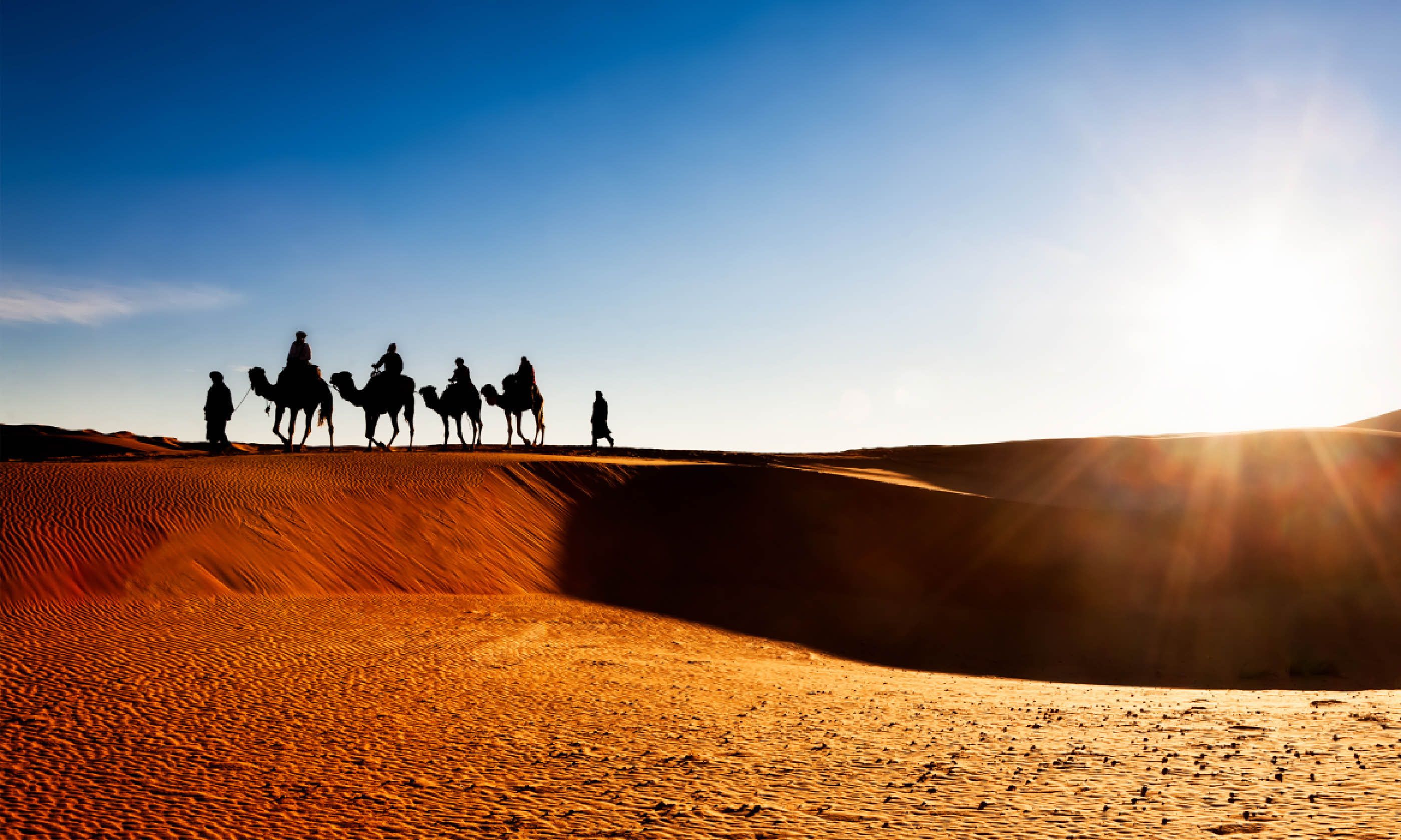 Erg Chebbi, Morocco (Shutterstock)