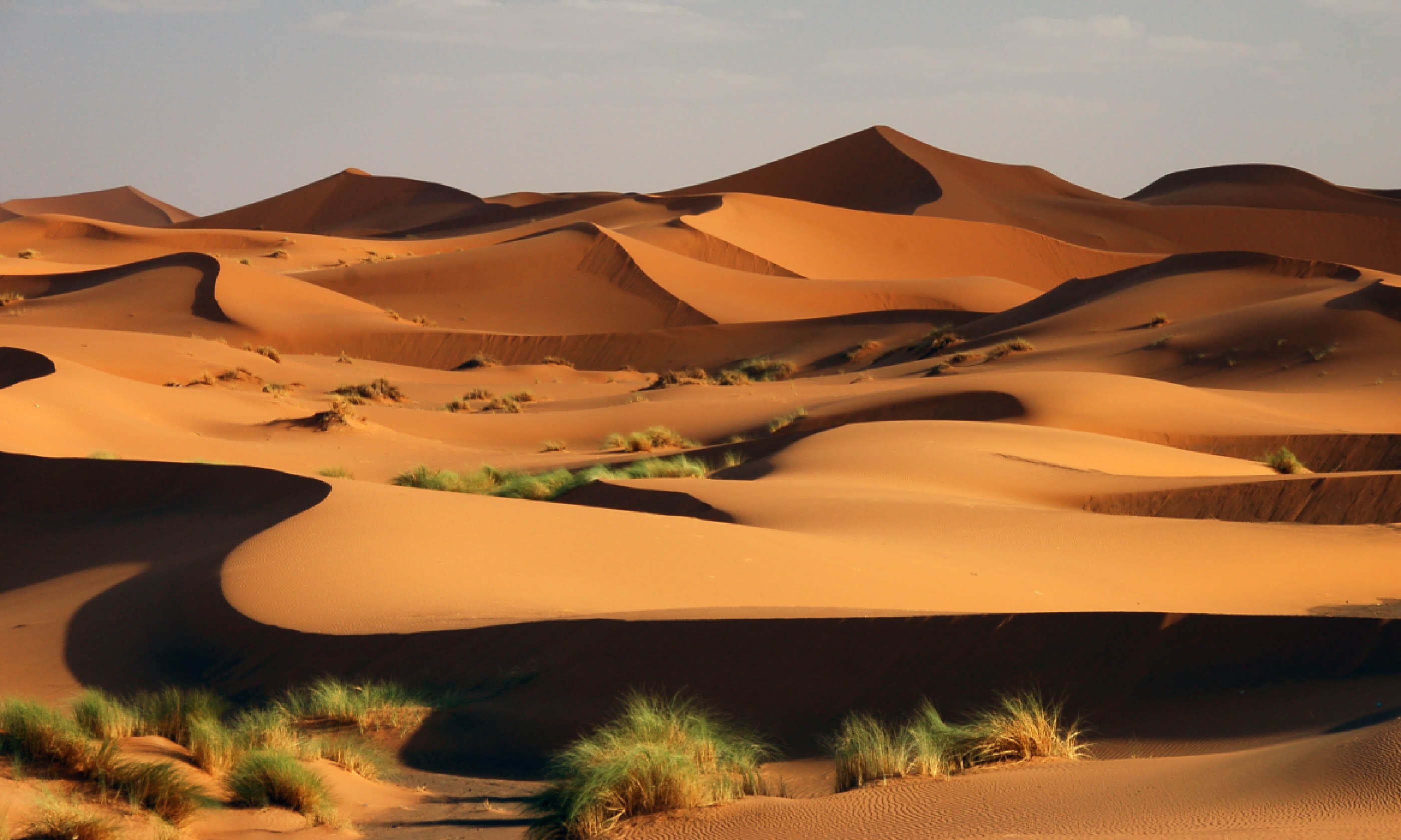 Sahara Desert, Morocco (Shutterstock)
