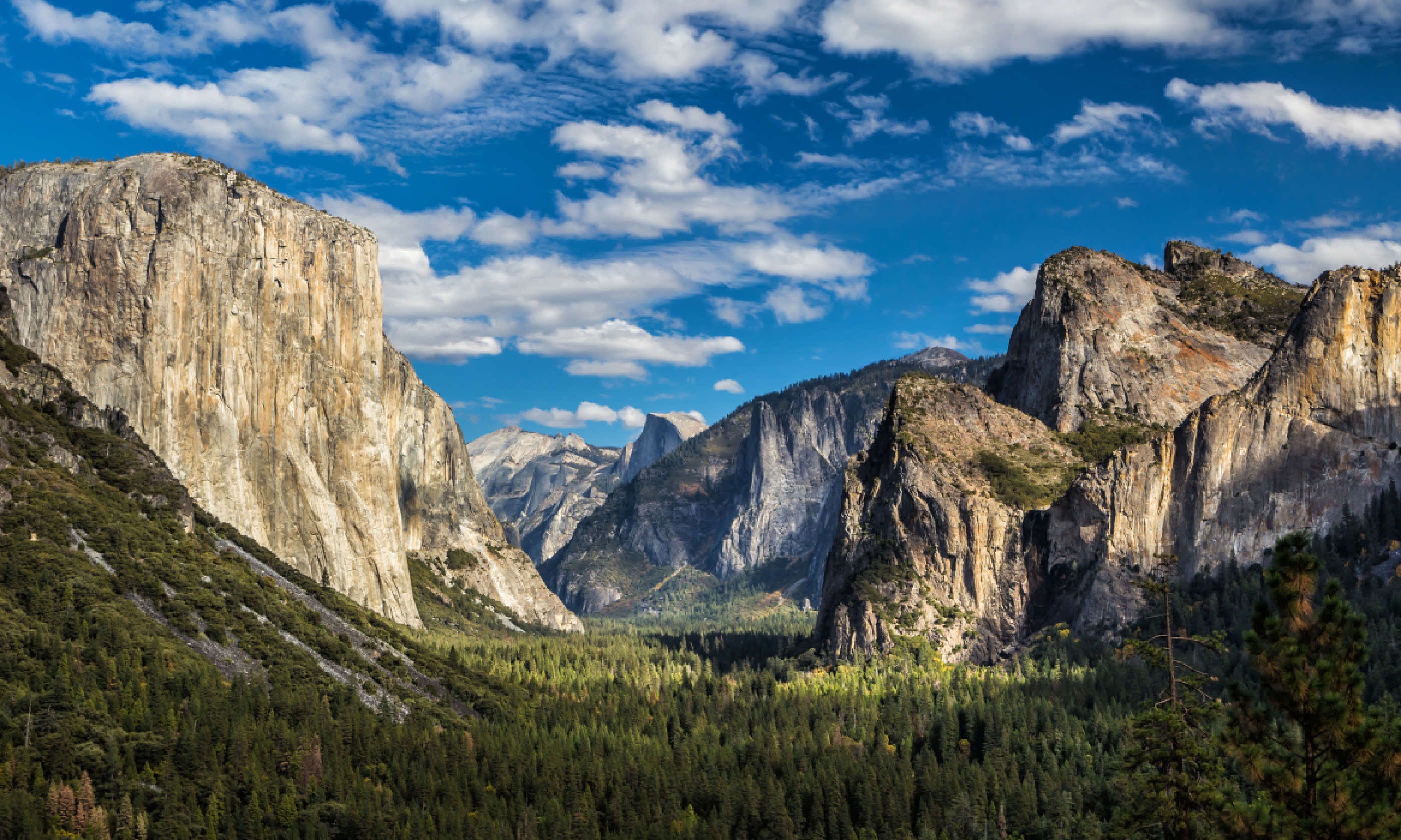 Yosemite National Park Valley (Shutterstock)
