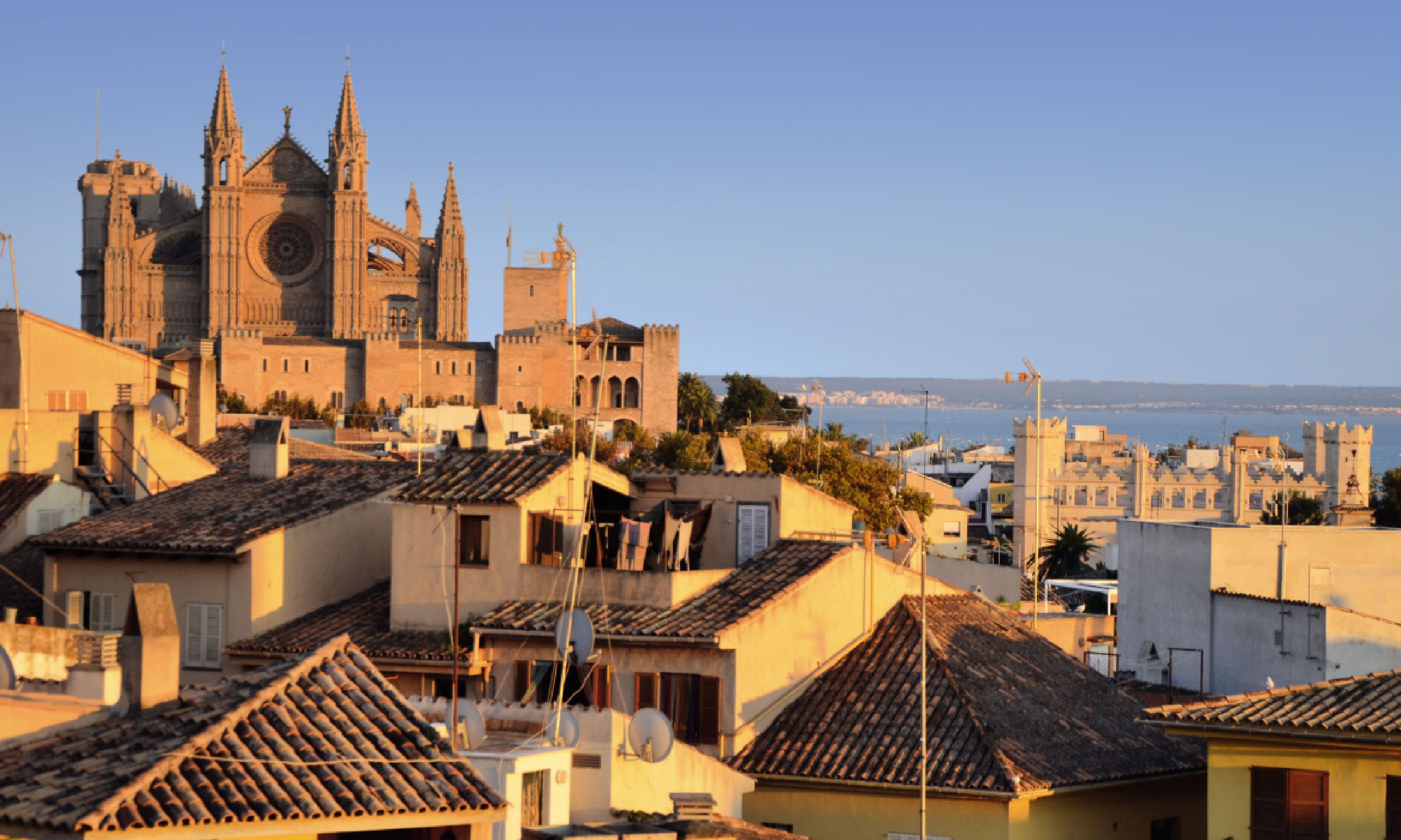Palma, Mallorca (Neil S Price)