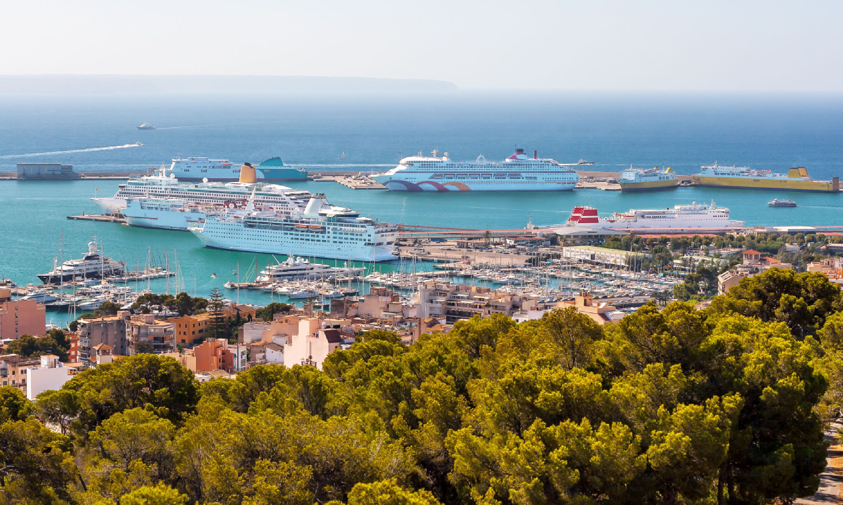 Palma port (Dreamstime)