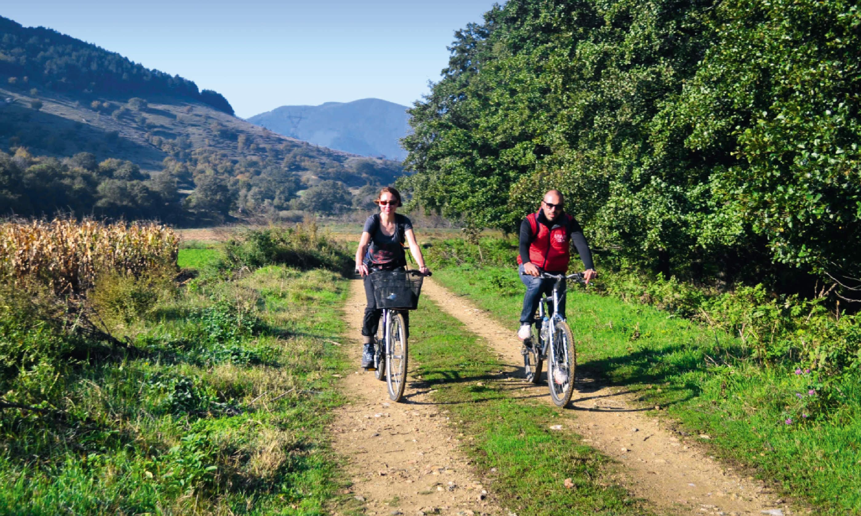 Cycling through the woodland (Nikos Kanellopoulos / Arcturos)