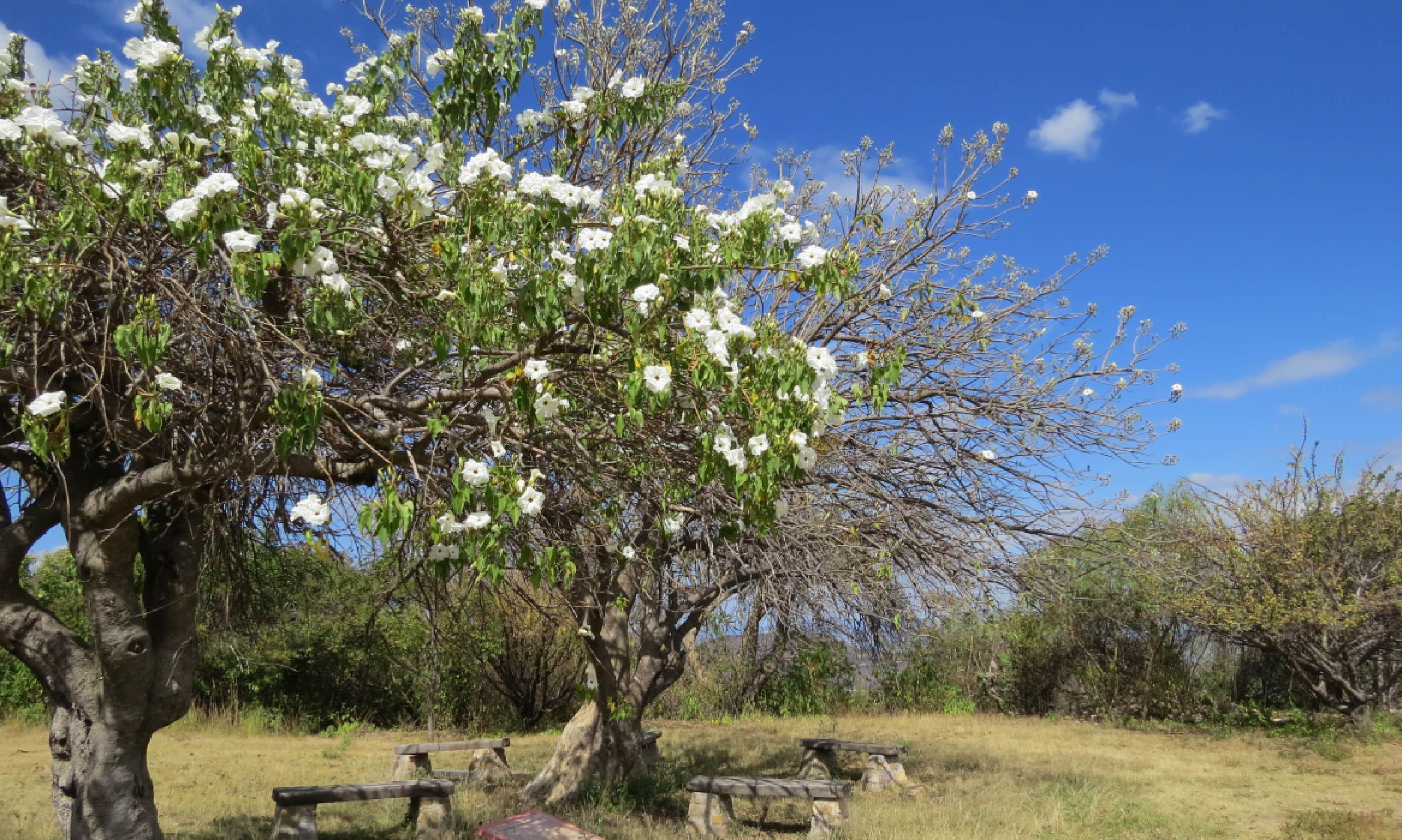 Going offgrid in Mexico Wanderlust