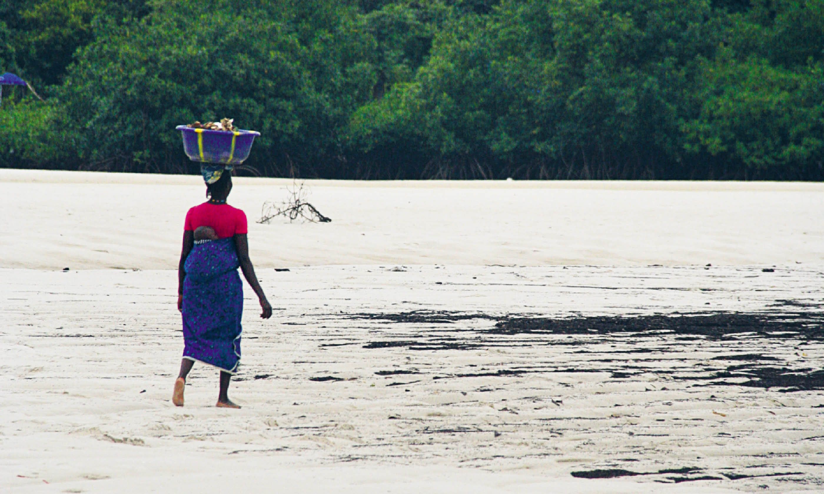 Sierra Leone can become an eco-tourism hotspot (Nick Redmayne)