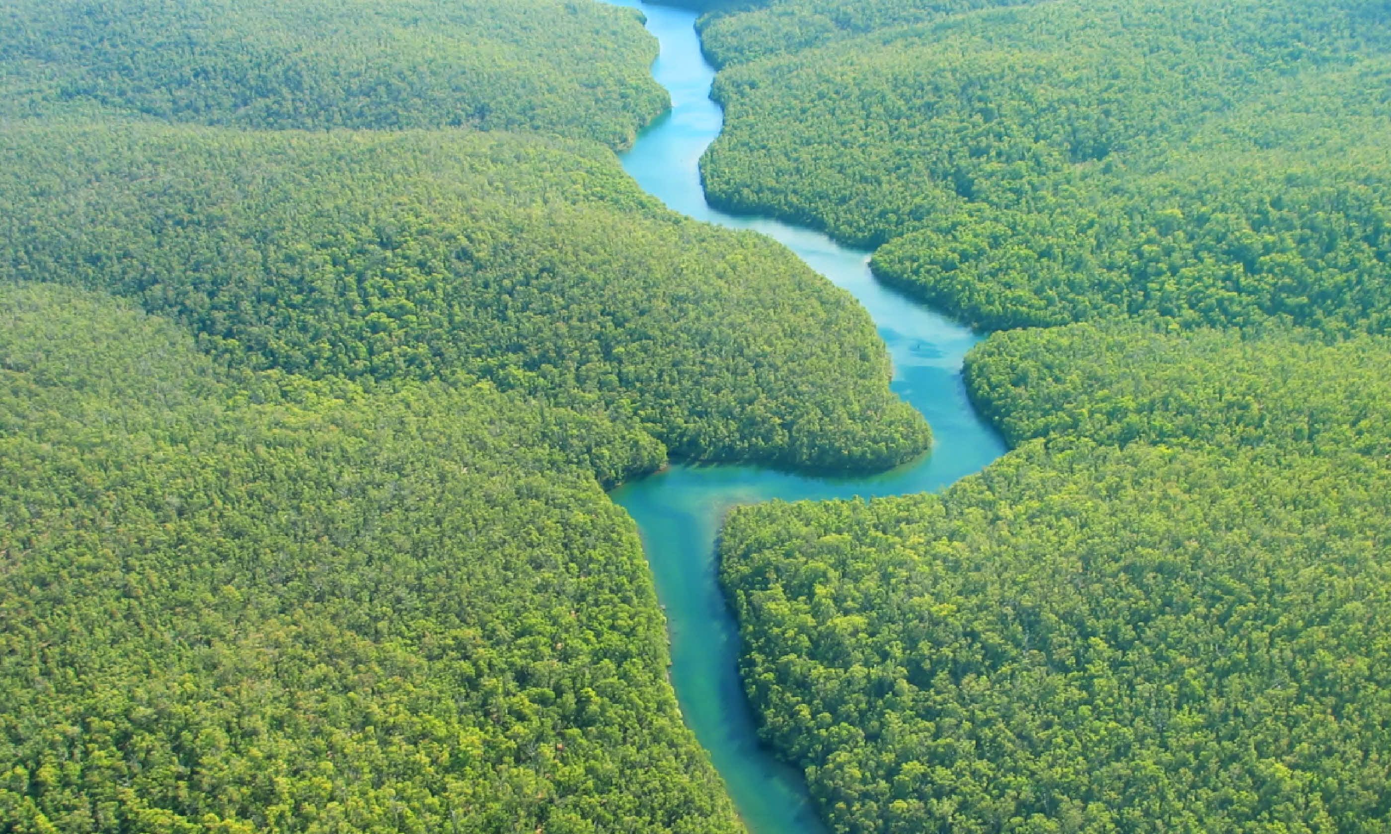 The Amazon (Shutterstock)