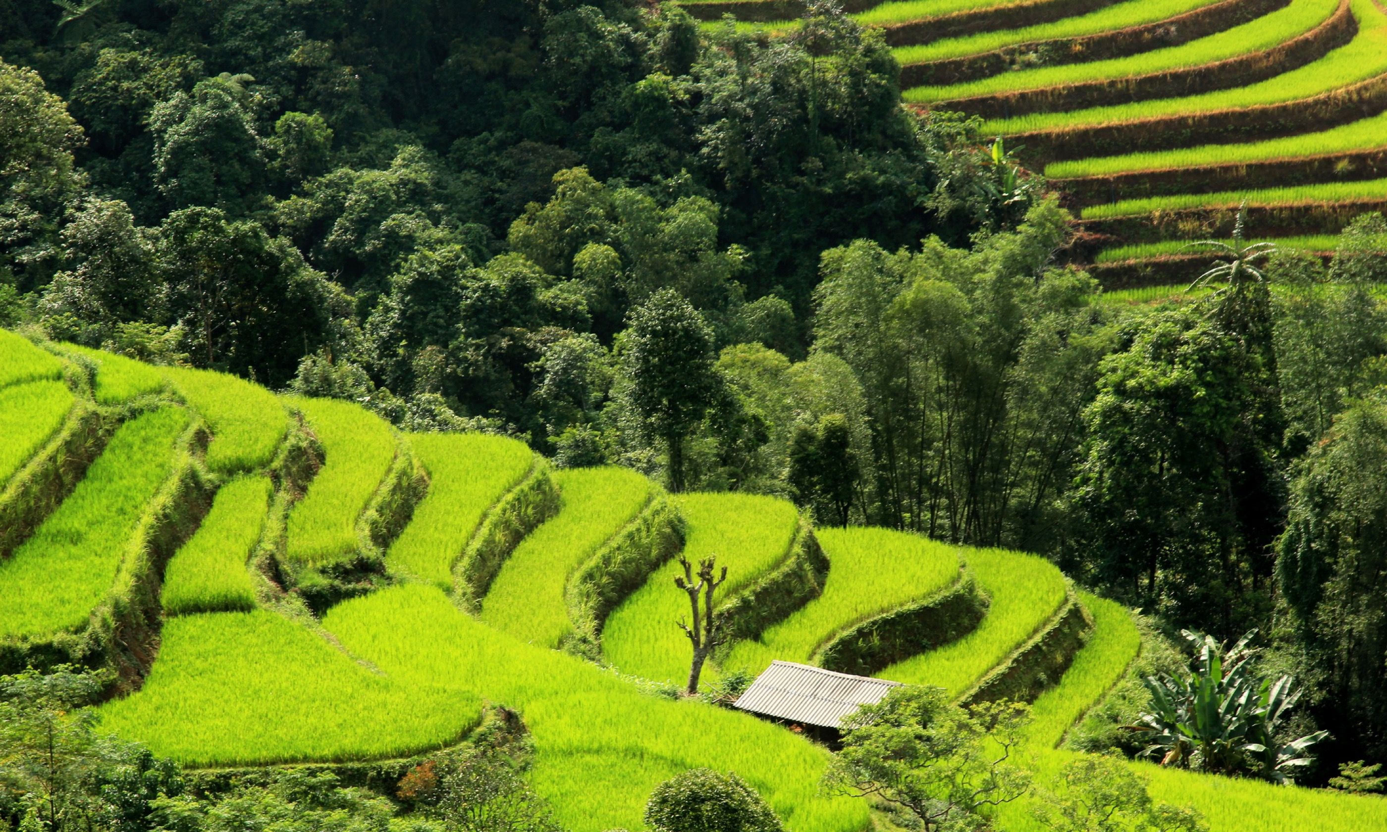 Hà Giang (Inside Vietnam)