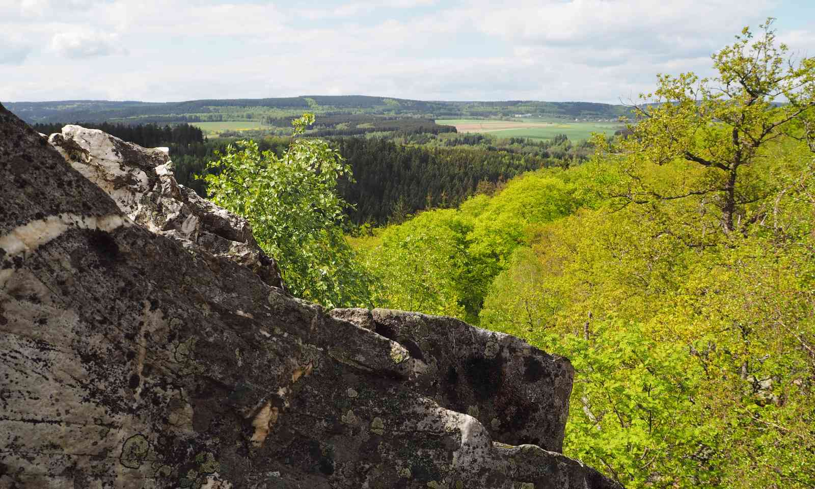 Hunsrück-Hochwald forest (German National Tourist Board)