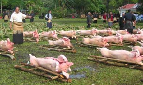 King of Tonga's Birthday BBQ