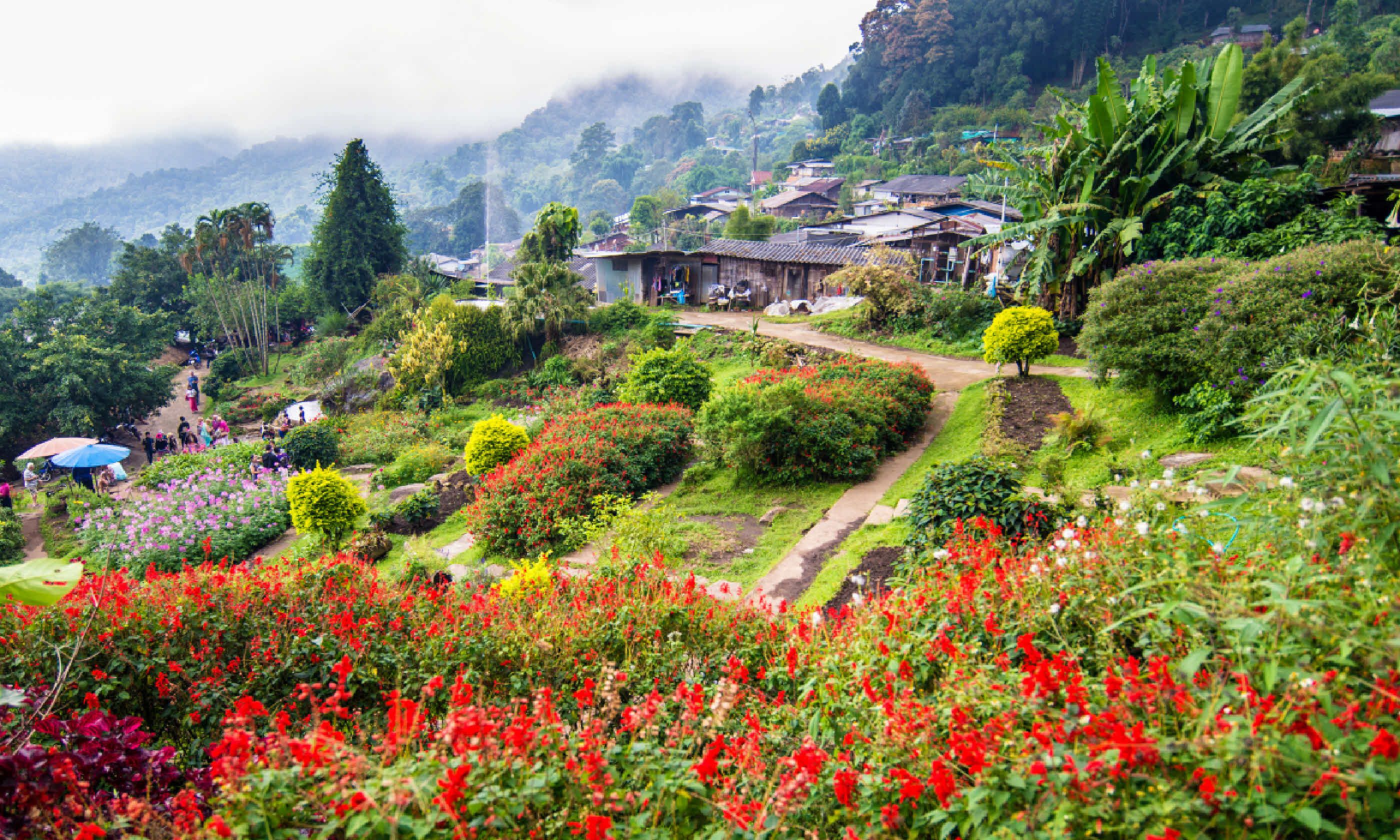 Chiang Rai, Thailand (Shutterstock)