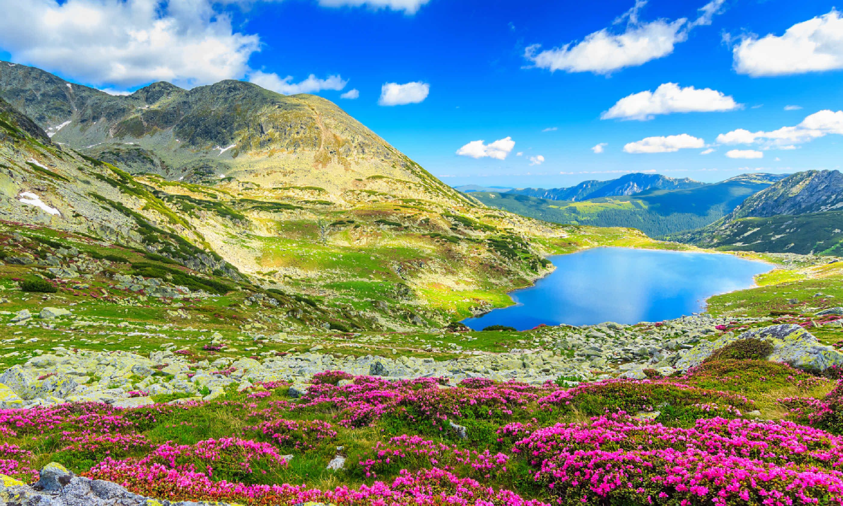 Carpathians, Romania (Shutterstock)
