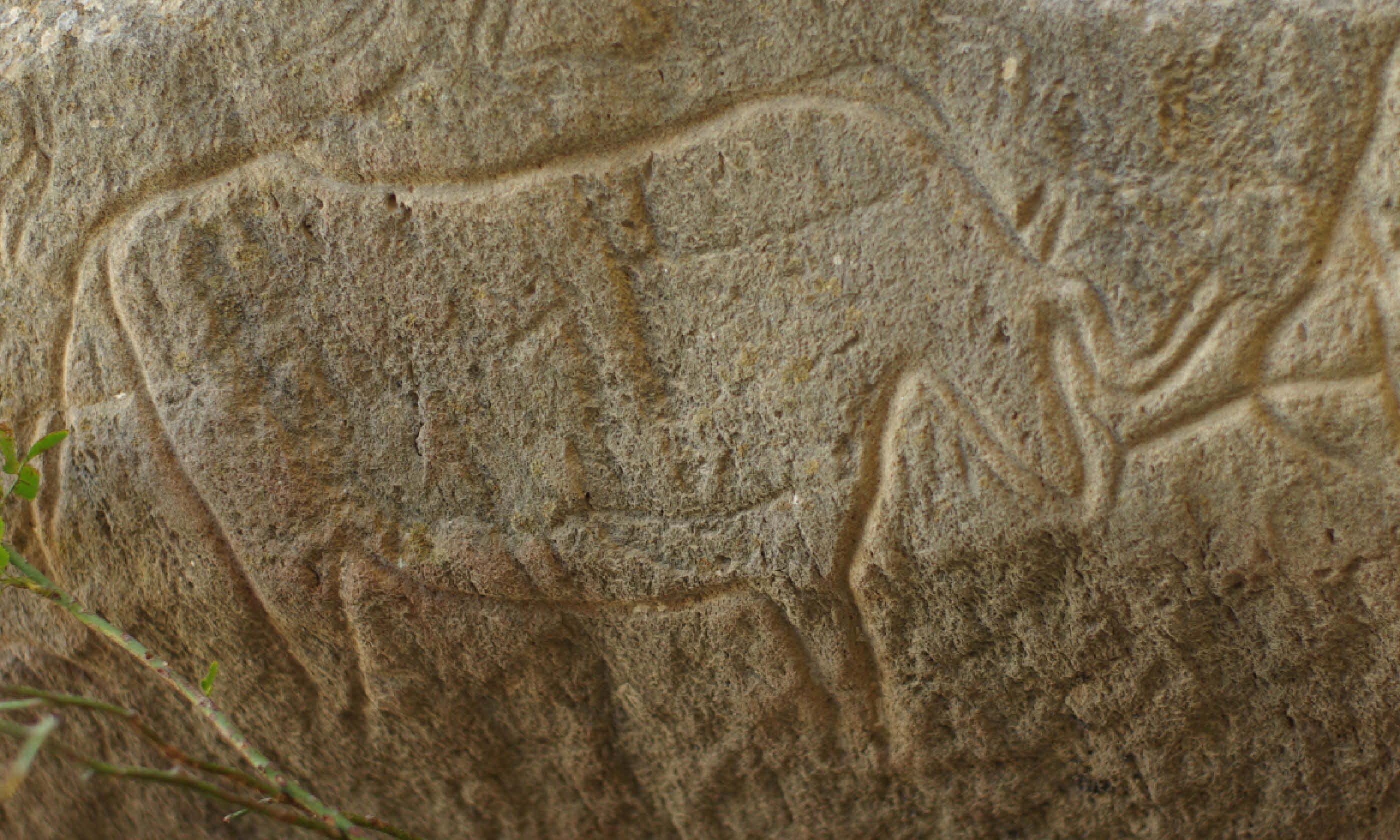 10,000-year-old engravings in Qobustan National Park (Shutterstock)