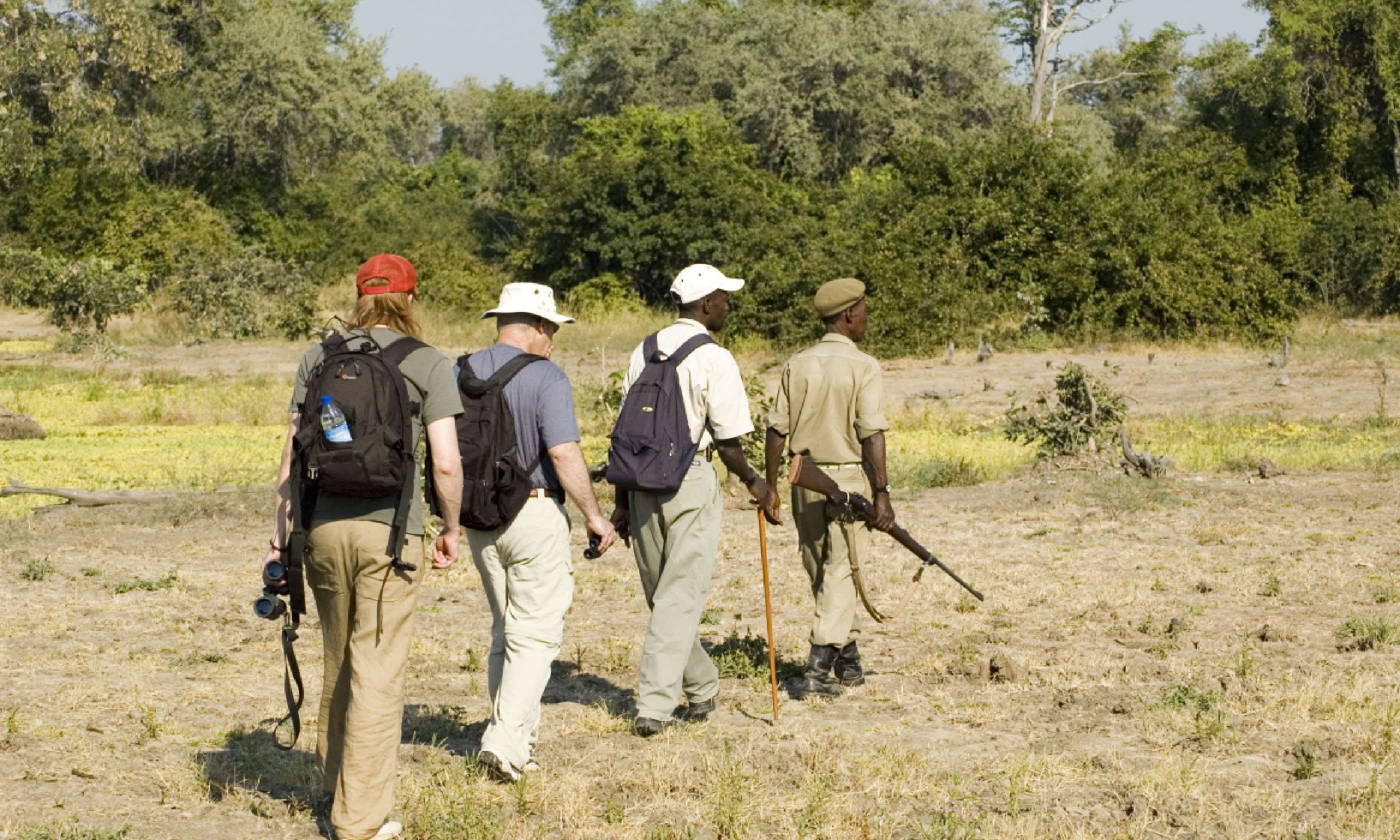 Walking safari in South Luangwa National Park (Shutterstock)